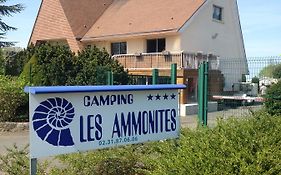 Camping Les Ammonites